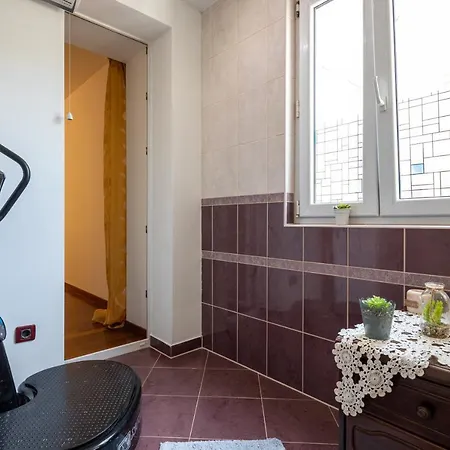 Camellia- Cozy * Сплит