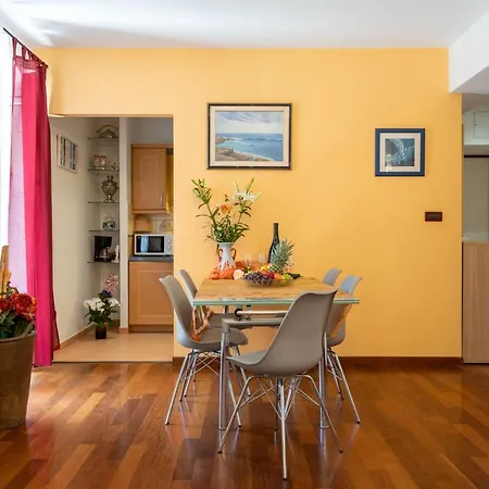 Camellia- Cozy * Split