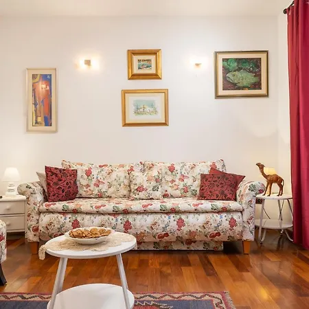 Camellia- Cozy * Сплит