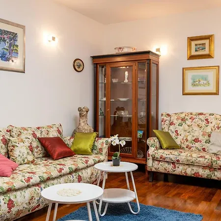 Camellia- Cozy Сплит