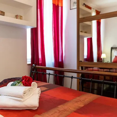 Camellia- Cozy * Split