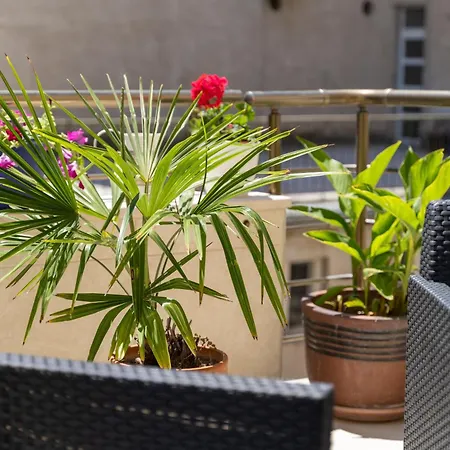 Camellia- Cozy Appartement *