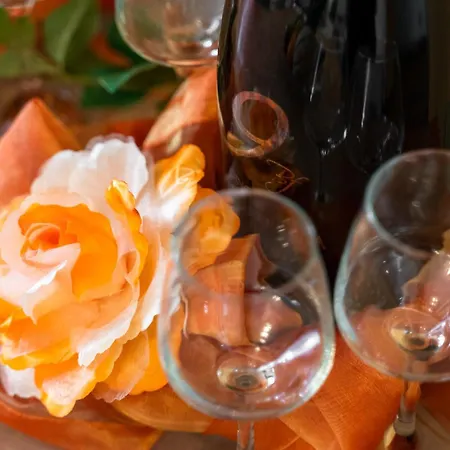 Апартаменты Camellia- Cozy *