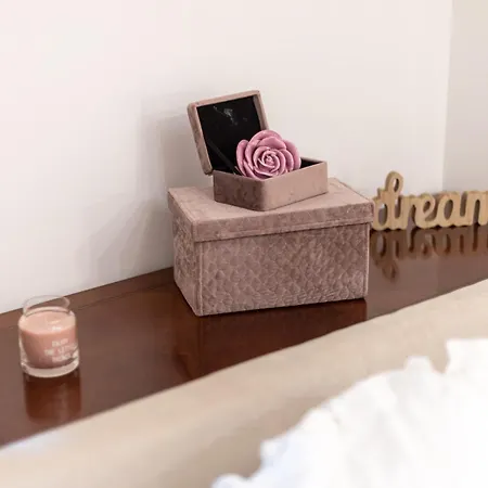 Camellia- Cozy Apartment