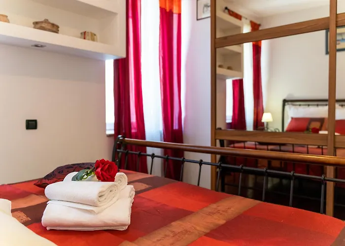 Camellia- Cozy * Split