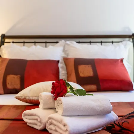 Camellia- Cozy Apartamento